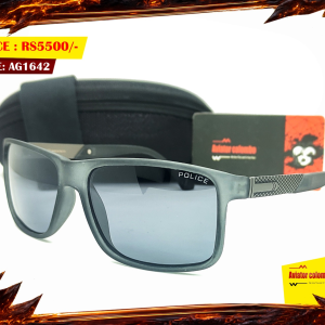 Police Polarized Wayfarer